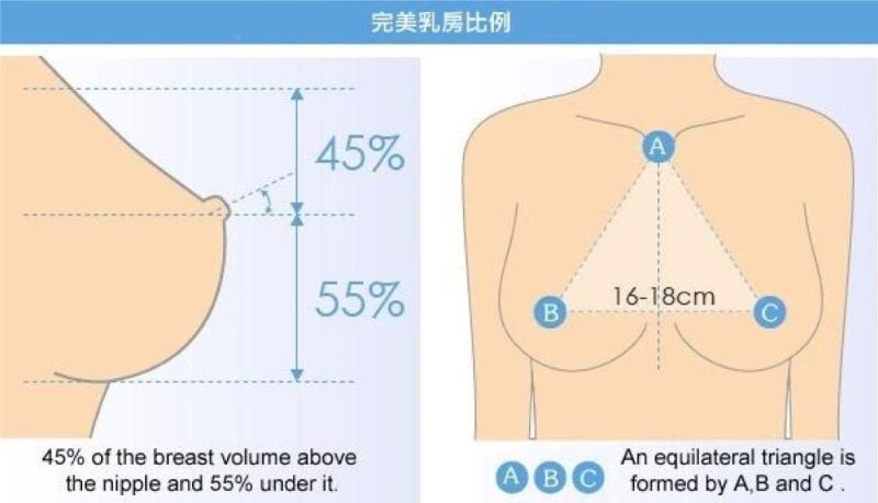 罩杯、弧度、比例？完美乳房的黄金比例 不定时掉落好看的奈子[316P/99M]-JIN33
